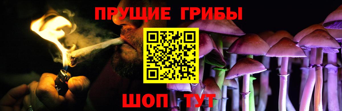 Саянск  Галлюциногенные грибы ЛСД  Вход с VPN 